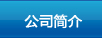 XϽӟt